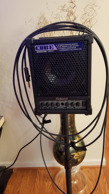 Roland CM-30 Cube Monitor | Guitar Center