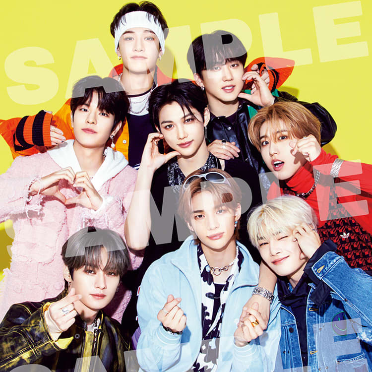 Stray Kids スキズ メンバー全員直筆サイン入りポストカード Stray