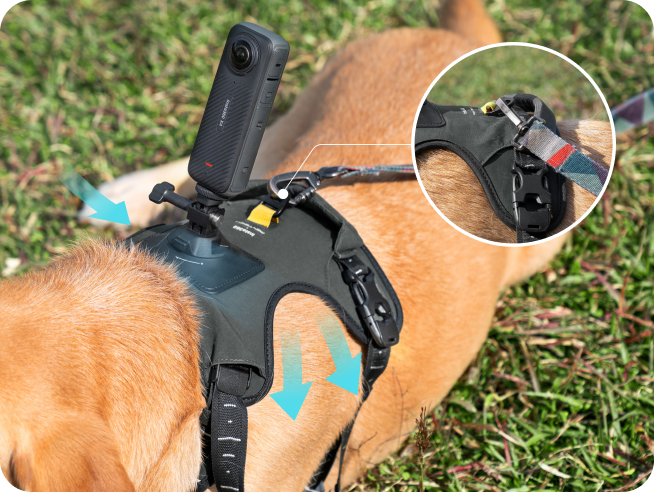 Buy Pet Harness Mount Size L - Insta360 Store