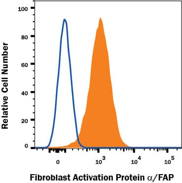 Confidence プロモ CF 未使用 FAB394 FaB Confidence プロモ CF 未使用