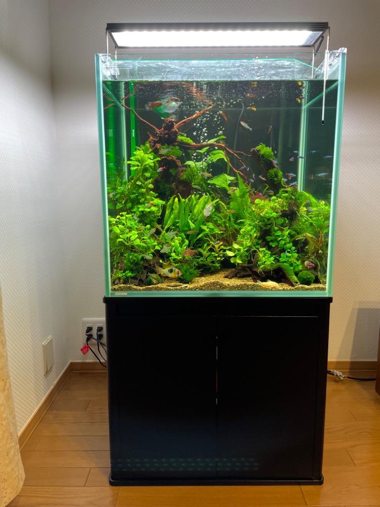 コトブキ工芸 コトブキ レグラスフラット F−600LH ハイタイプ