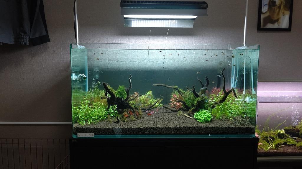 コトブキ工芸 コトブキ レグラス R−900L 90cmフレームレス曲げ