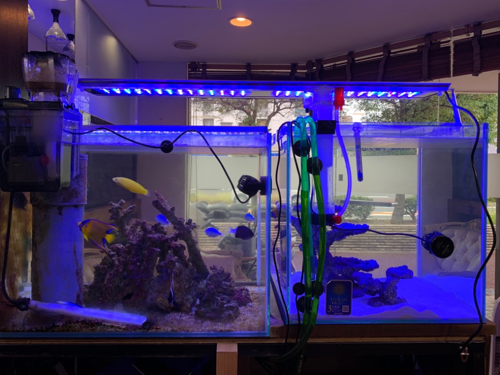 MICMOL AIR PRO900 112W LED照明 90cm-110cm! 海水魚・サンゴ用【LED