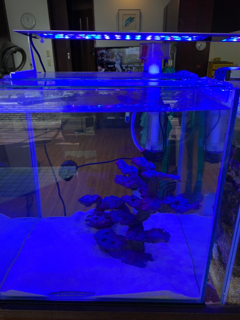 MICMOL AIR PRO900 112W LED照明 90cm-110cm! 海水魚・サンゴ用【LED