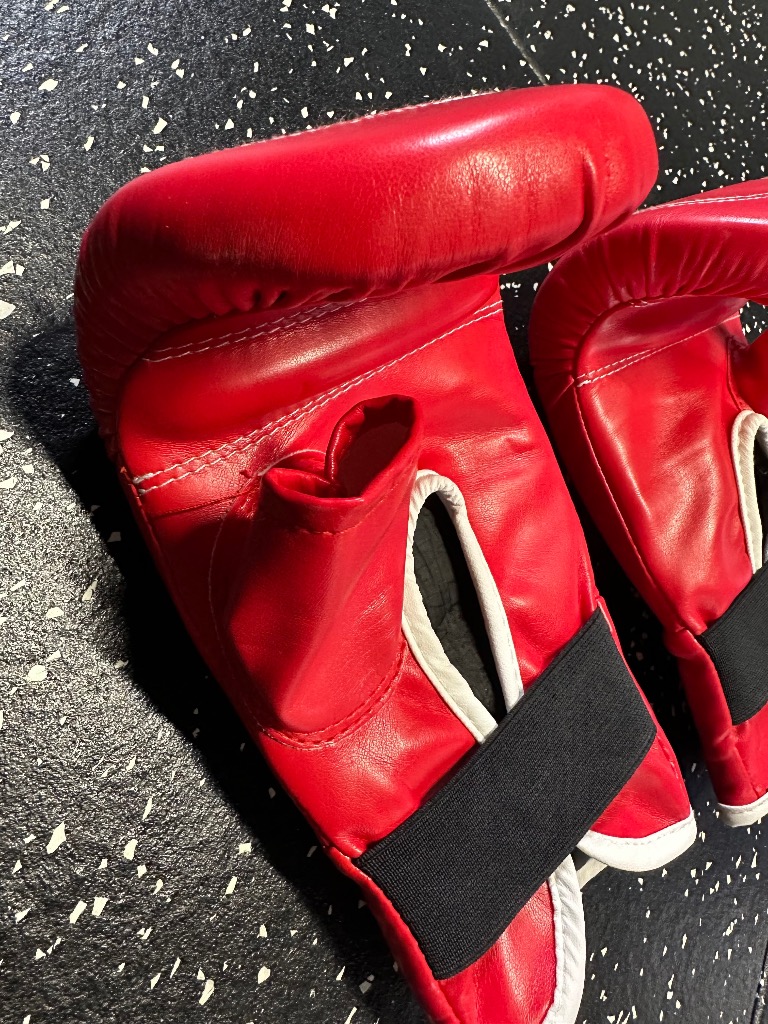 パンチンググローブ │ サンドバッグ サンドバック 格闘技 ボクシング