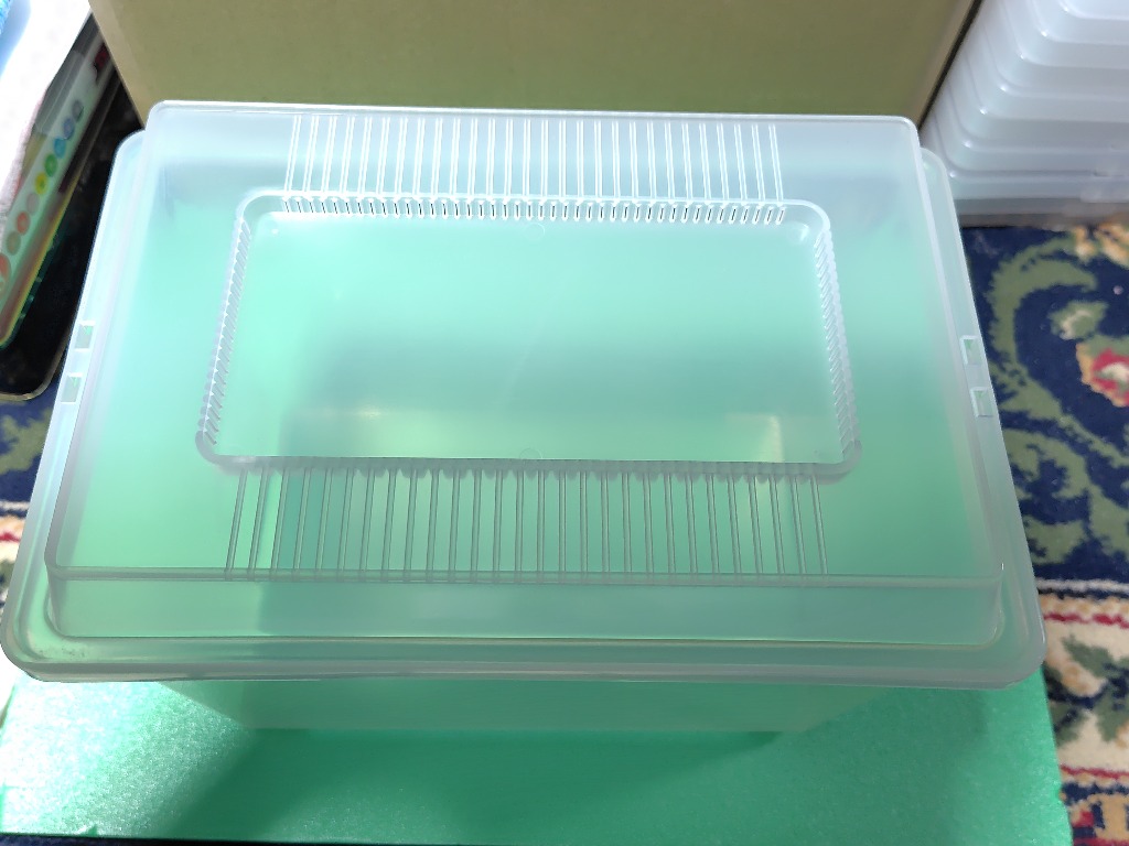 ムチムチ【引退品】コバエ侵入抑制ケースセット ムチムチ【引退品