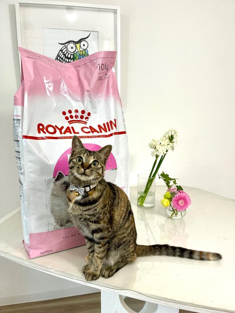 ロイヤルカナン（ROYAL CANIN） 子猫 キトン 成長後期の子猫用 生後