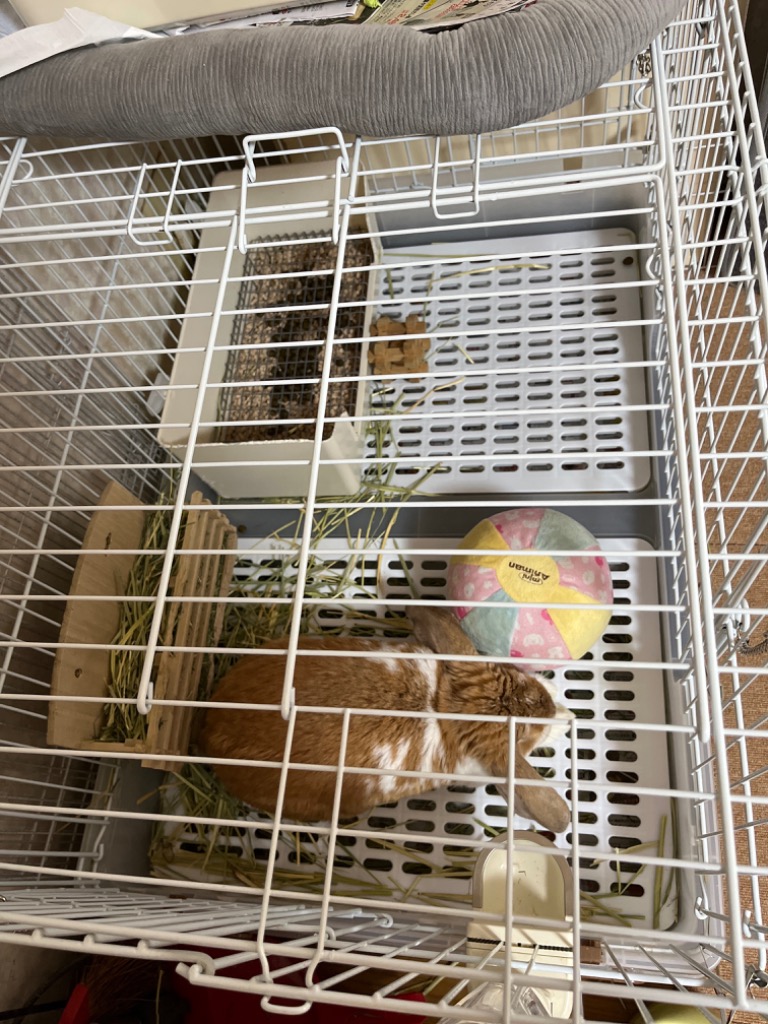 マルカン うさぎケージ うさぎのカンタンおそうじケージ ワイドB