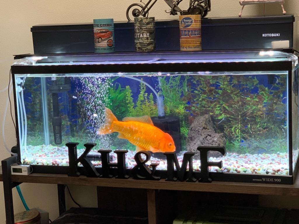 GEX アクアラック シェルフ 600 GEXアクアラックシェルフ600 大型