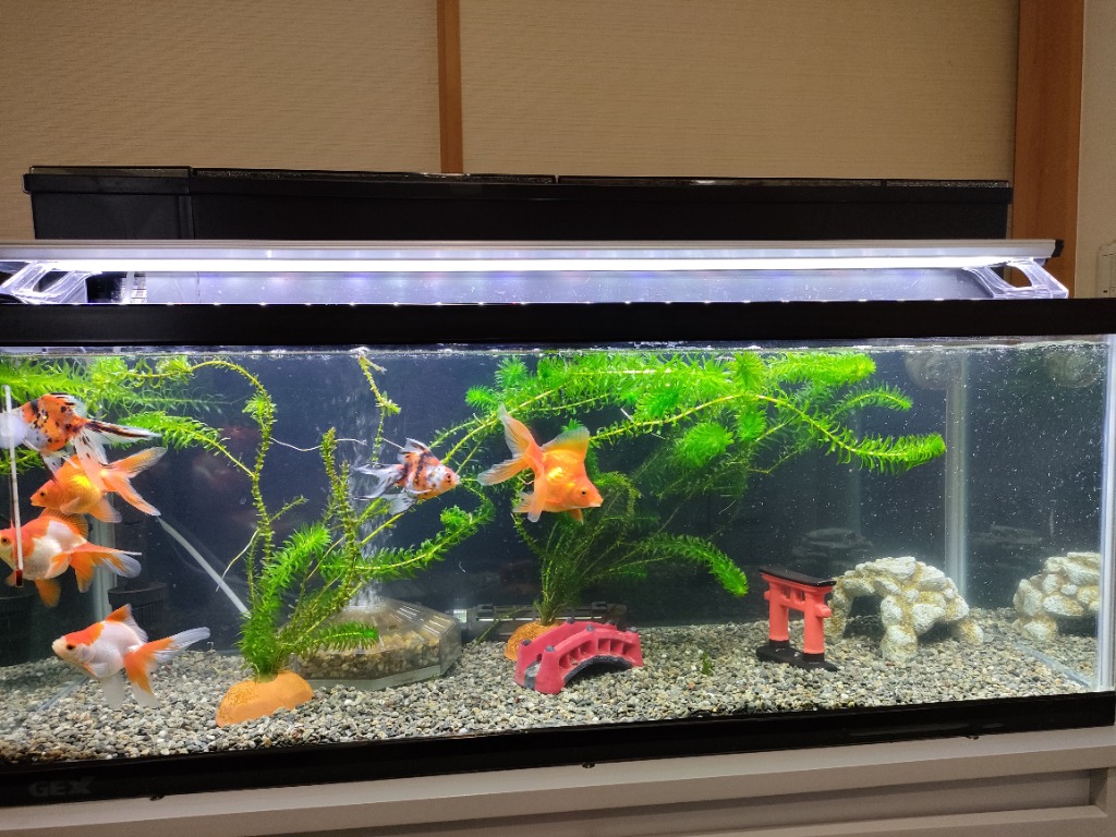 大型）GEX マリーナスリム900 LEDセット 90cm水槽セット