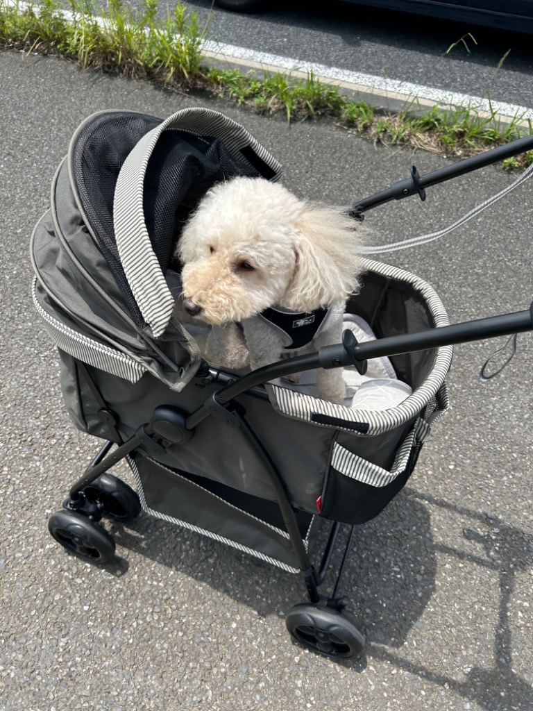 GEX わんわんカート 多頭用DXplus-N （ストライプグリーン） わんわん