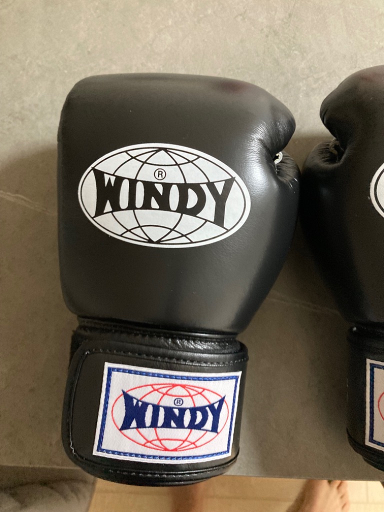 ウィンディ マジックテープ式トレーニンググローブ WINDY ボクシング