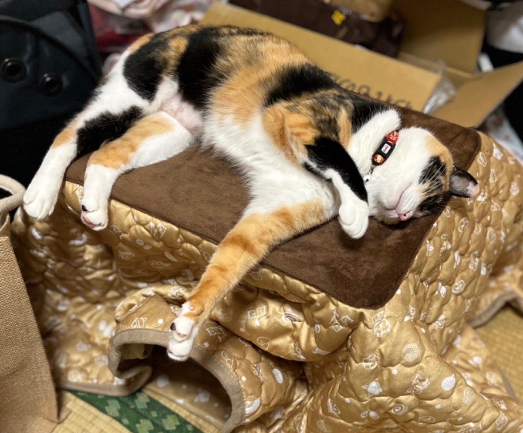 マルカン 遠赤外線にゃんこの和みこたつ M CT-543【納品書・梱包なし