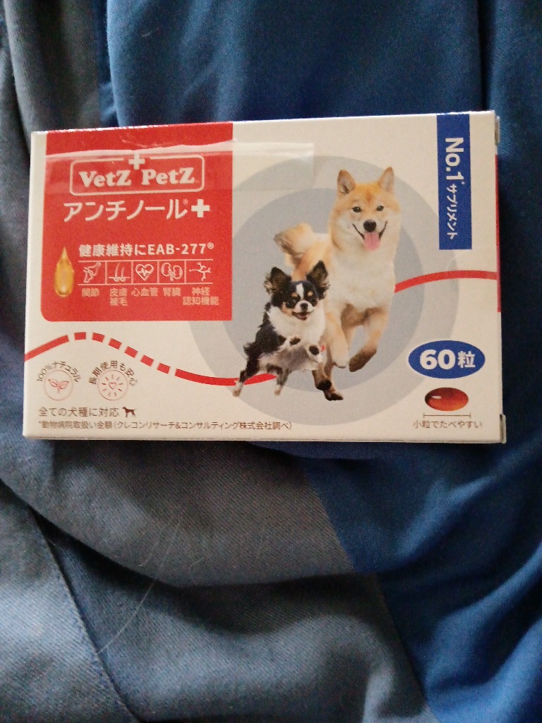 アンチノールプラス 60粒入り : 仁友堂 - 通販 - Yahoo!ショッピング