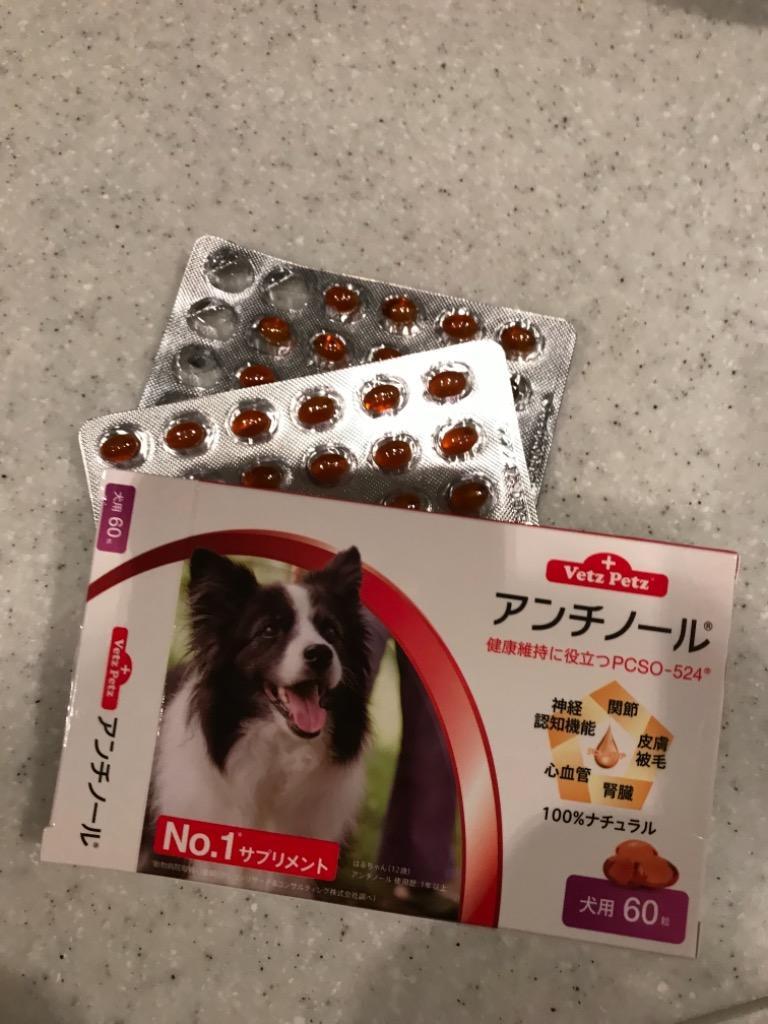 アンチノールプラス 60粒入り : 仁友堂 - 通販 - Yahoo!ショッピング