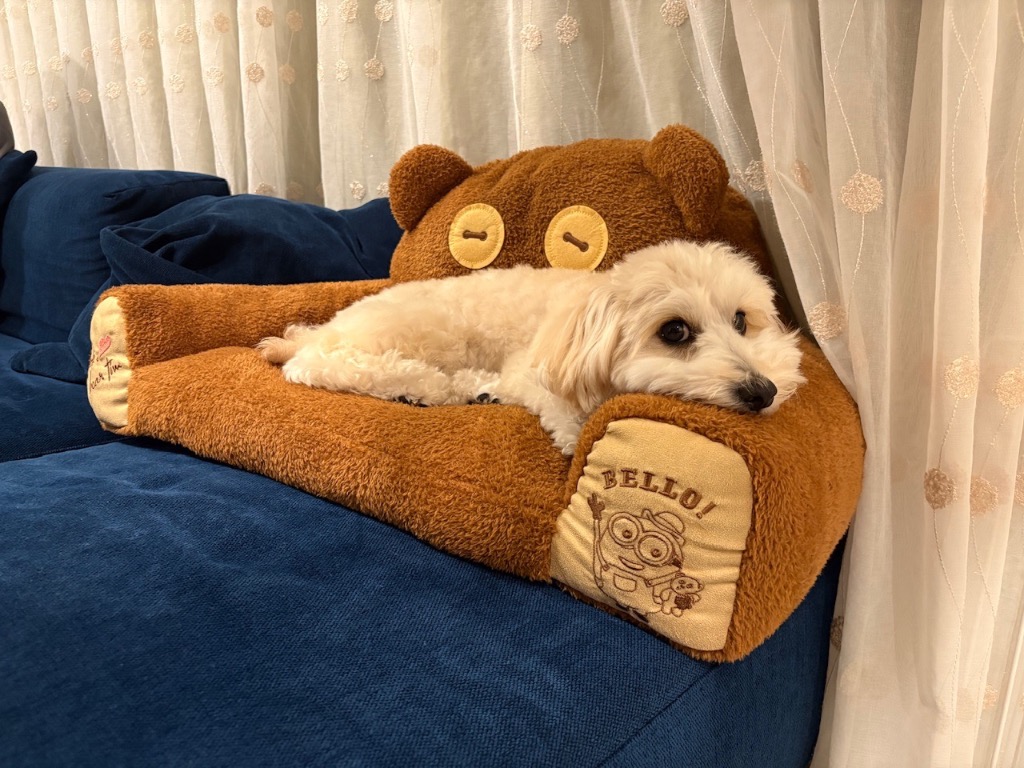 MINIONS（ミニオンズ） ミニオンティム犬ベッドソファボア小型犬