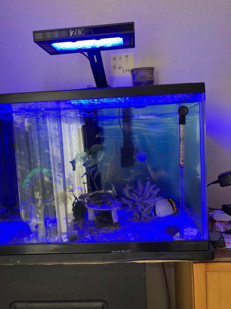 レッドシー ZOOX オプティマスリーフナノ2 LED照明 管理80 - 最安値