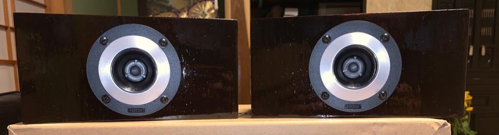 FOSTEX FT17H [2個1組] (フォステクス ホーンツィーター) 特典付き