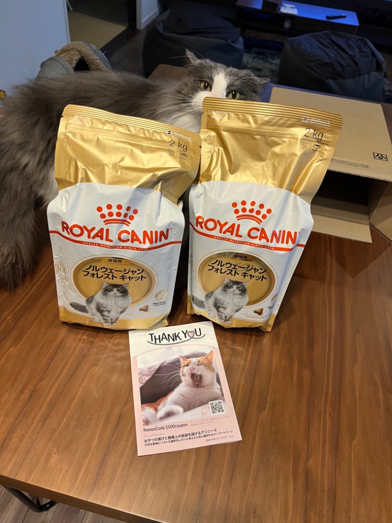 フィーライン ブリード ニュートリション 【2kg×2袋】ロイヤルカナン