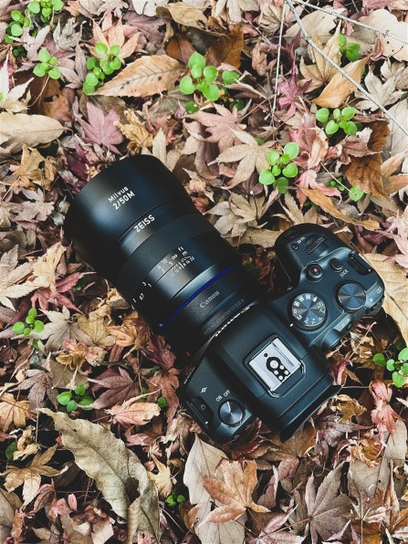 カールツァイス Milvus 2/50M ZE [キヤノン用]投稿画像・動画 - 価格.com