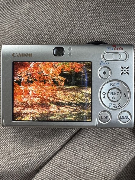 CANON IXY DIGITAL 25 IS投稿画像・動画 - 価格.com