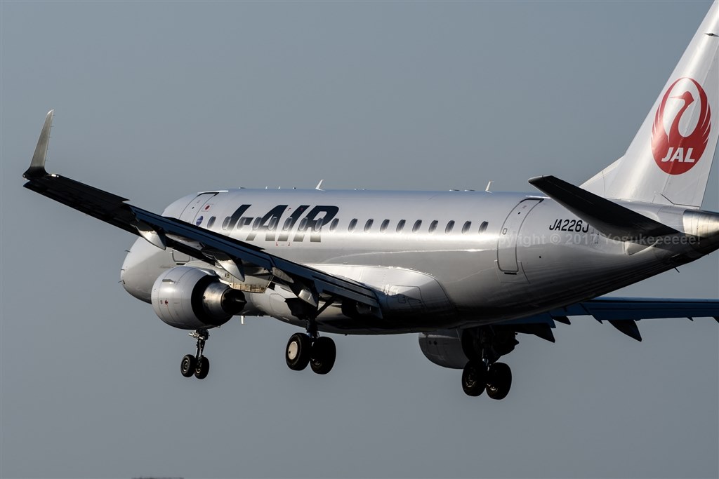 サンニッパ 様』 ニコン AF-S NIKKOR 300mm f/2.8G ED VR II 鷹介さん