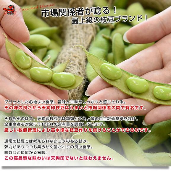 群馬県 沼田利根蔬菜出荷組合 天狗印の枝豆 味緑・神緑セット（みりょ