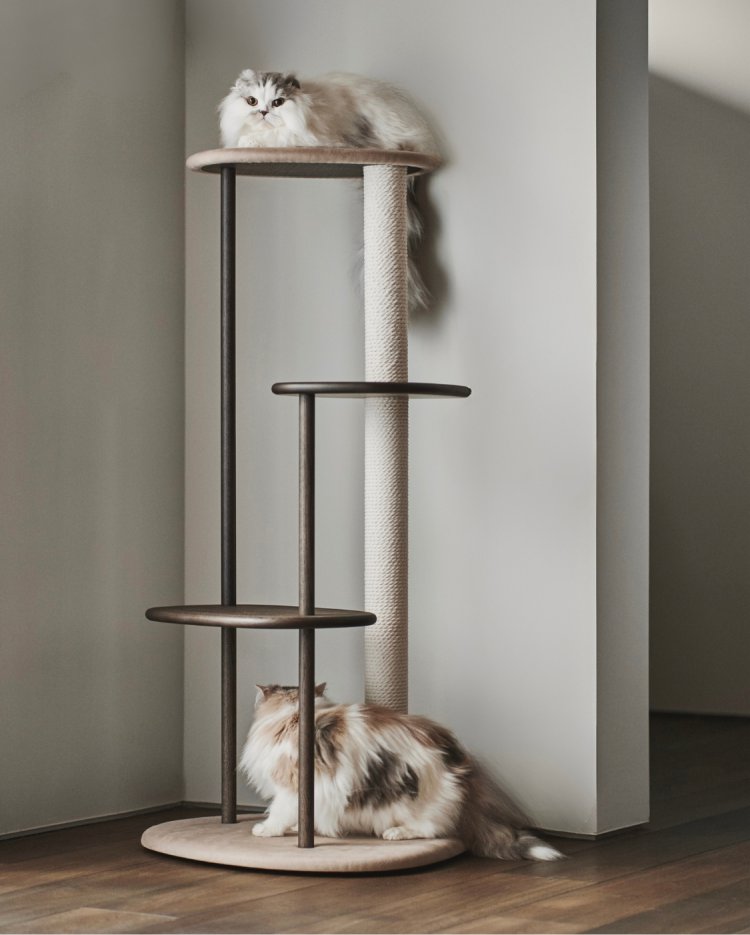 KARIMOKU CAT TREE 2024 | Journal - RINN Inc.