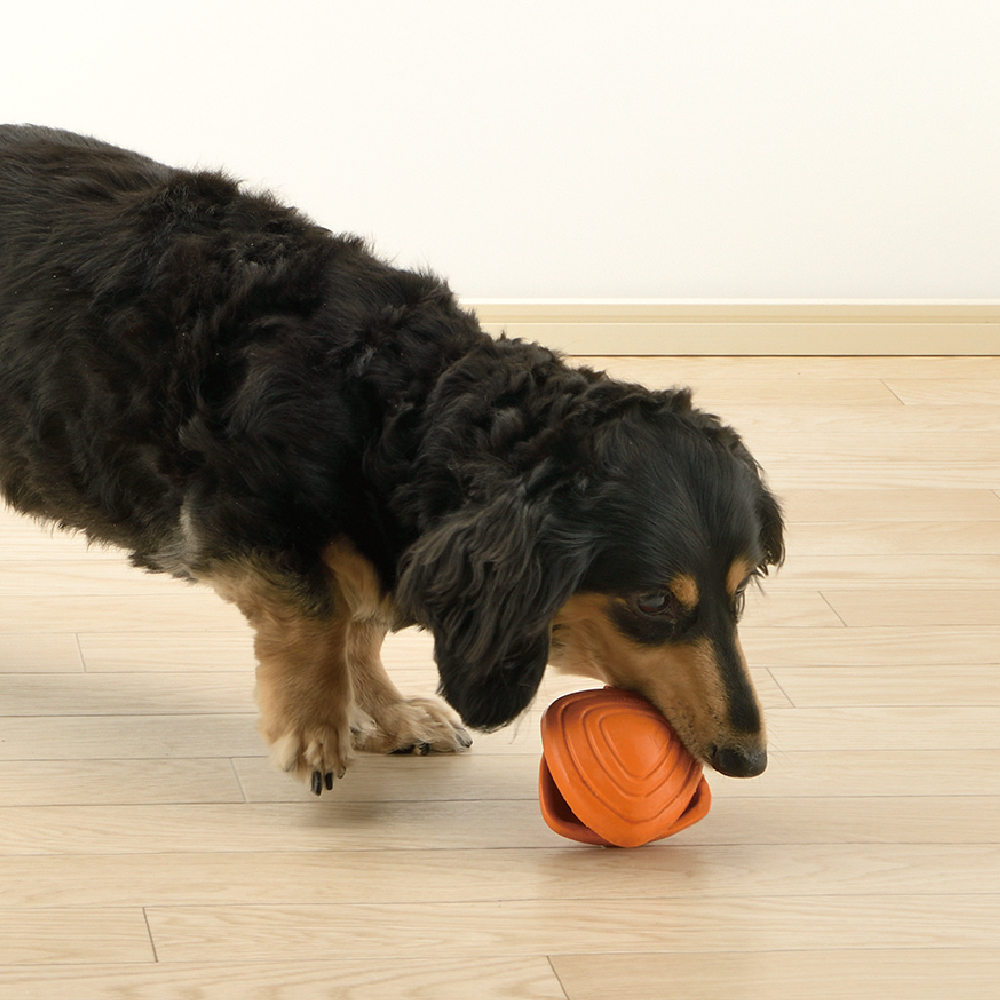 カモ猫様 リッチェル木製犬舎 700超小型〜中型犬用 カモ猫様