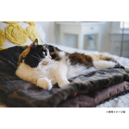 817152012931_image01_512x512.