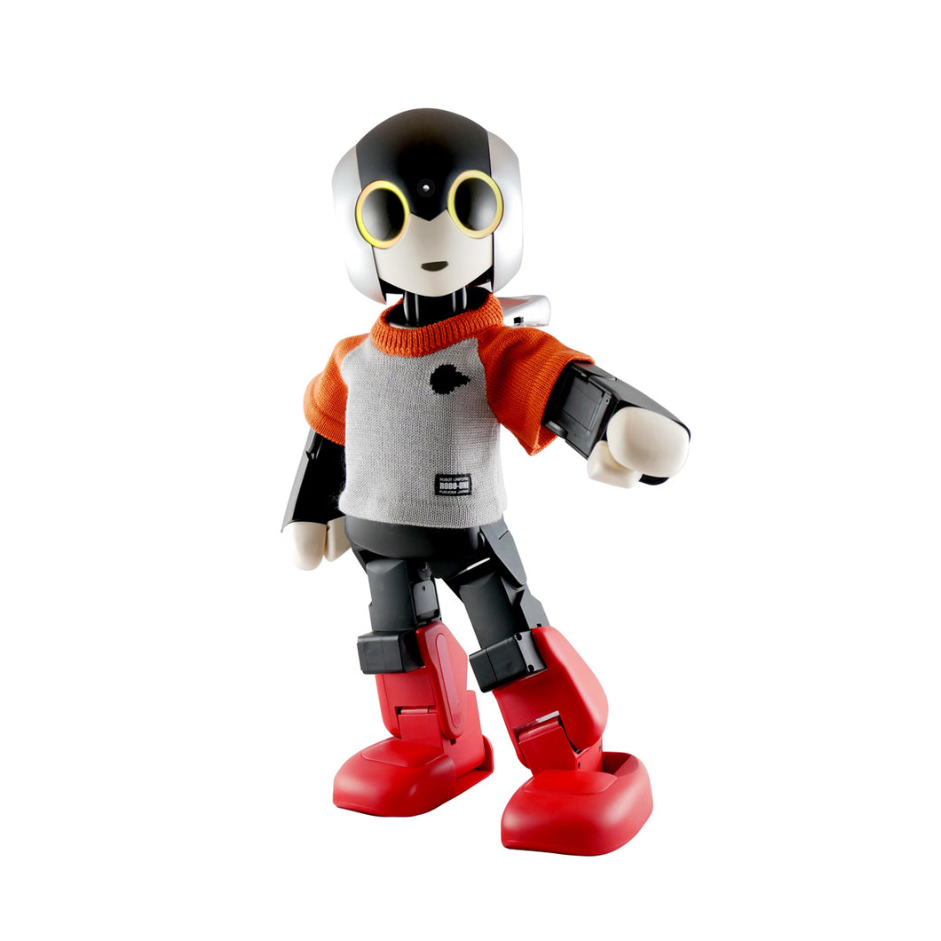 ロビ2【組立済み完成品】ニットTシャツ付き（現在は販売しておりませ