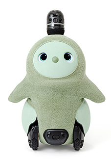 LOVOT3.0 （らぼっと3.0） | RobotPlanet（ロボットプラネット）