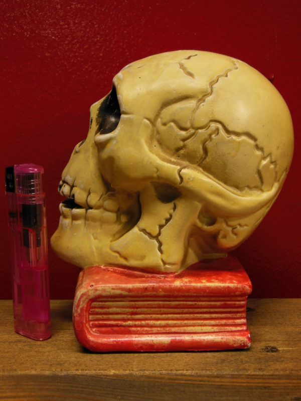 ビンテージ スカル 髑髏 陶磁器 野晒し しゃれこうべ ドクロ 置物 骸骨