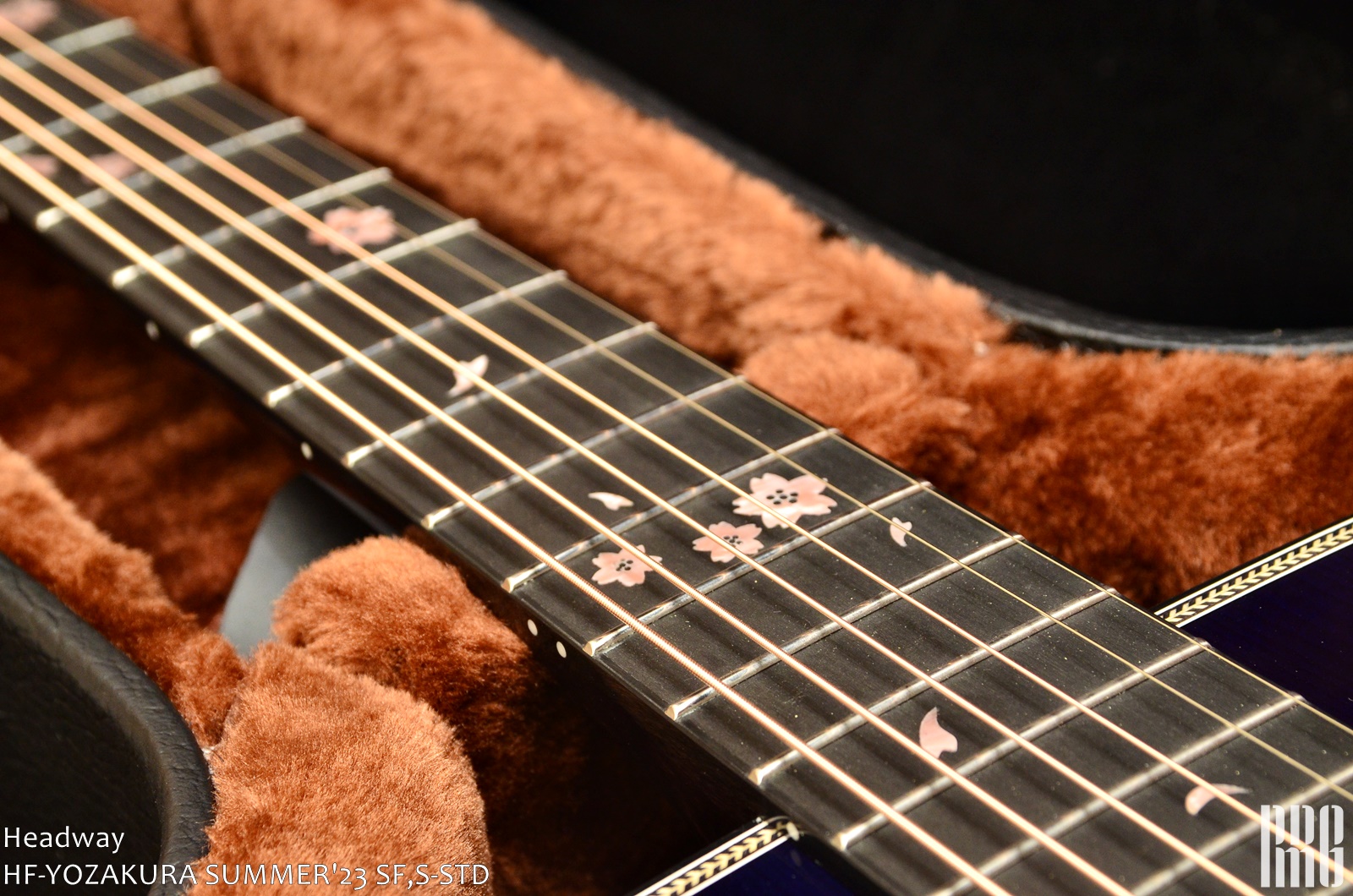 HF-YOZAKURA SUMMER'23 SF,S/STD (2023大商談會選定品) – 搖滾磐石樂器