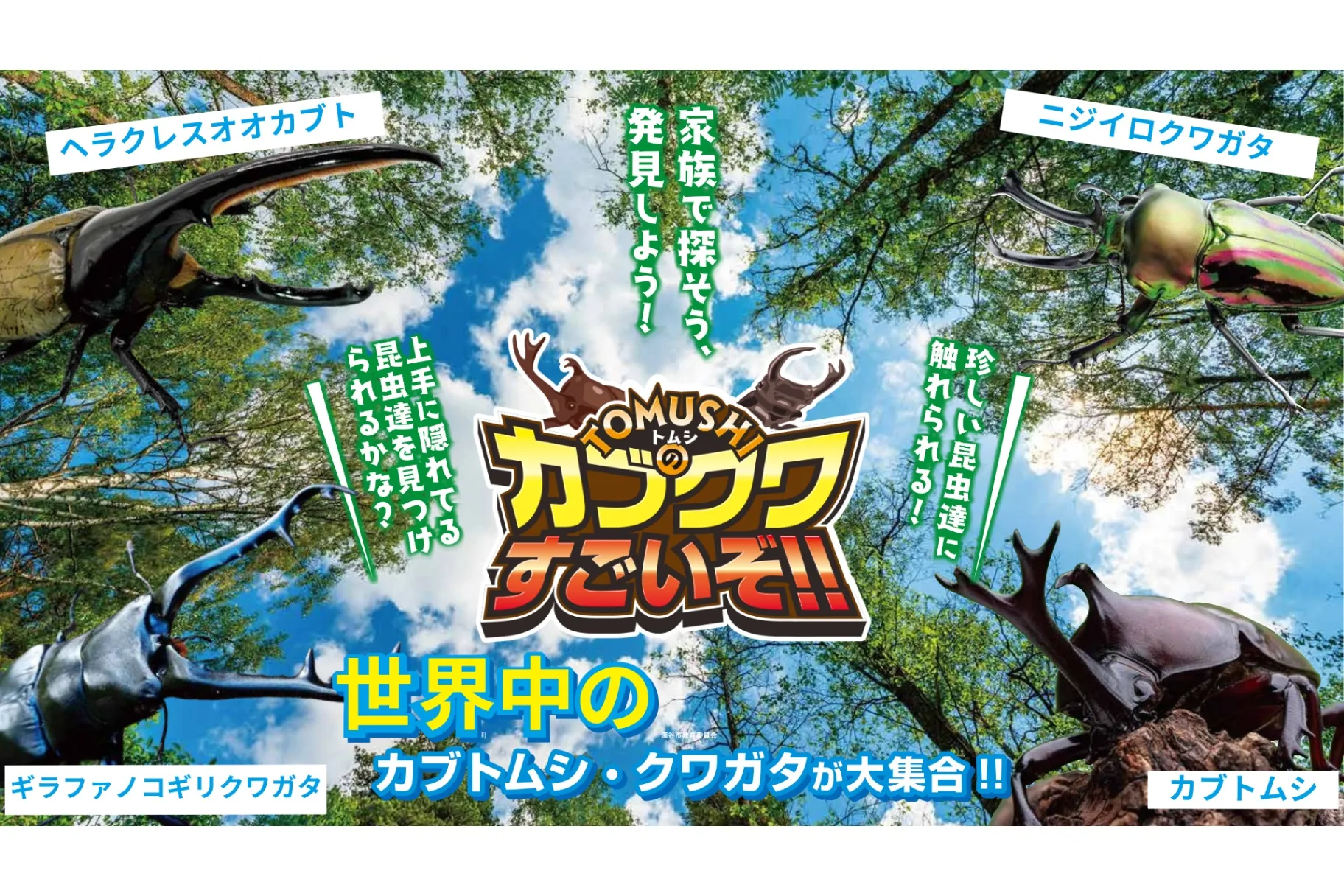 カブクワオタク カブクワオタク カブクワオタク 0609211【Switch