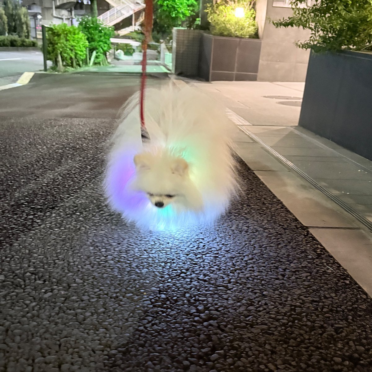 ラウズカード バーニングスマッシュ 仮面ライダーギャレン トレカ