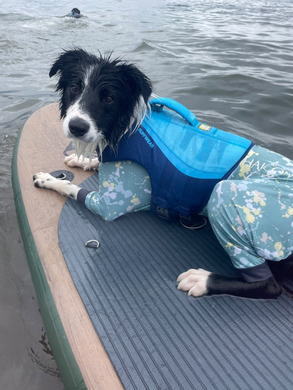 フロートコートライフジャケット |犬用パーソナルフローティング