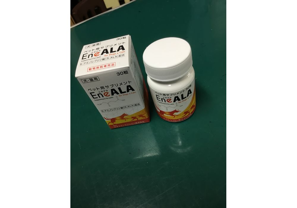 超激安！エネアラ 5個 エネアラ 犬 5個 エネアラの人気商品・通販