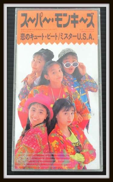 安室奈美恵 with スーパーモンキーズ コンサートツアー 1995 パンフ