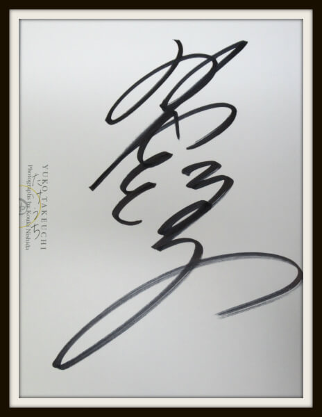 竹内結子 トレーディングカード 『ETUDE』直筆サインカード 竹内結子