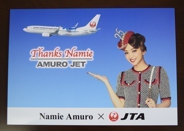 安室奈美恵 AMURO JET モデルプレーン 1/130