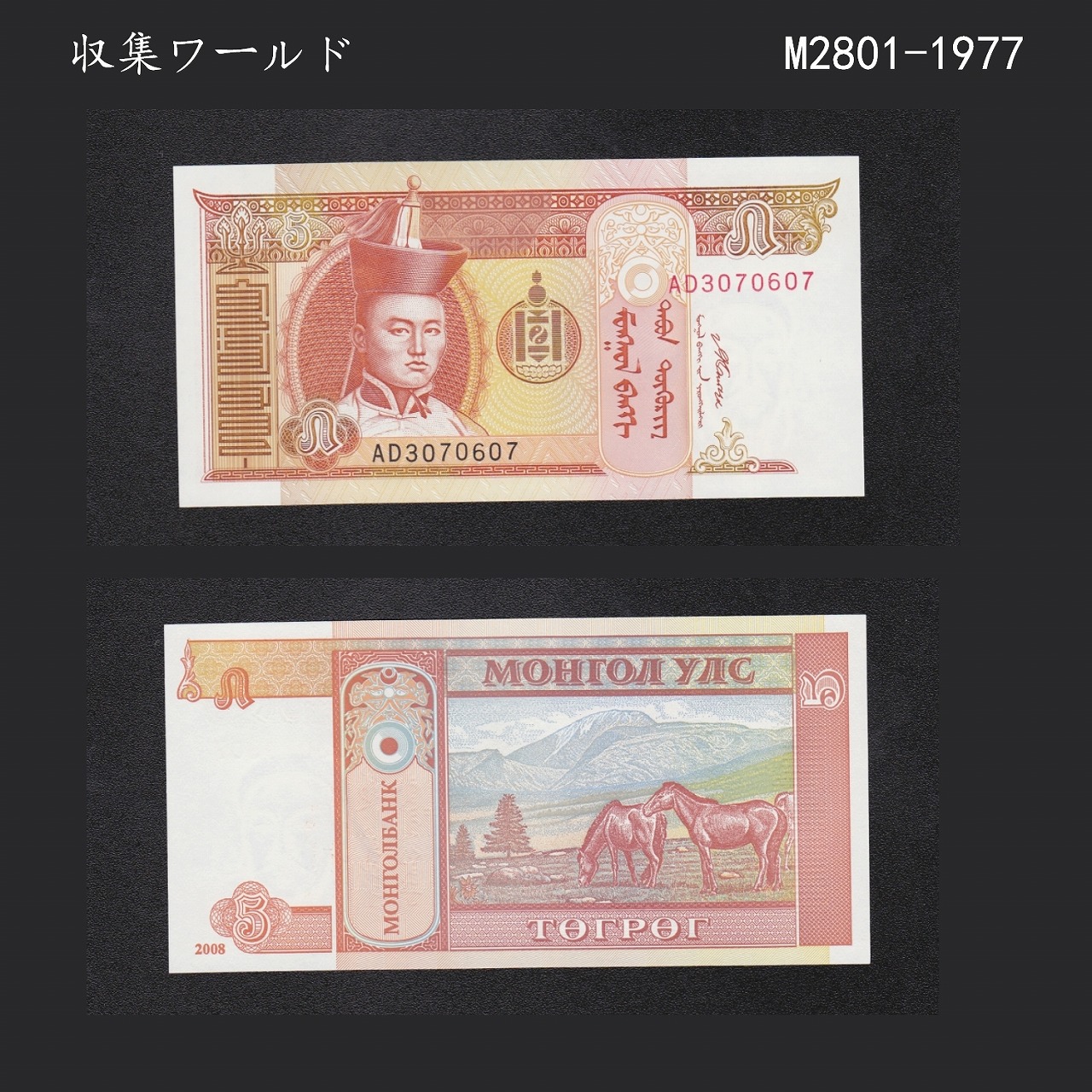 モンゴル紙幣 1Tg〜100Tg(トゥグリク) 6枚セット/2008-2013年銘/完未品