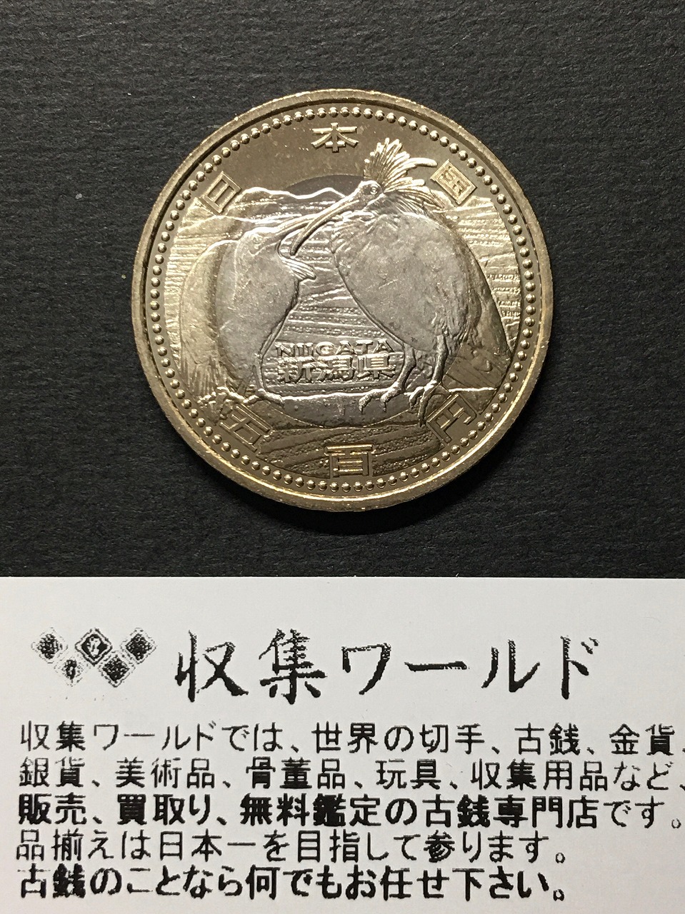 純銀 2000年 新500円貨幣発行記念メダル 約134g 造幣局 SV1000 2000年