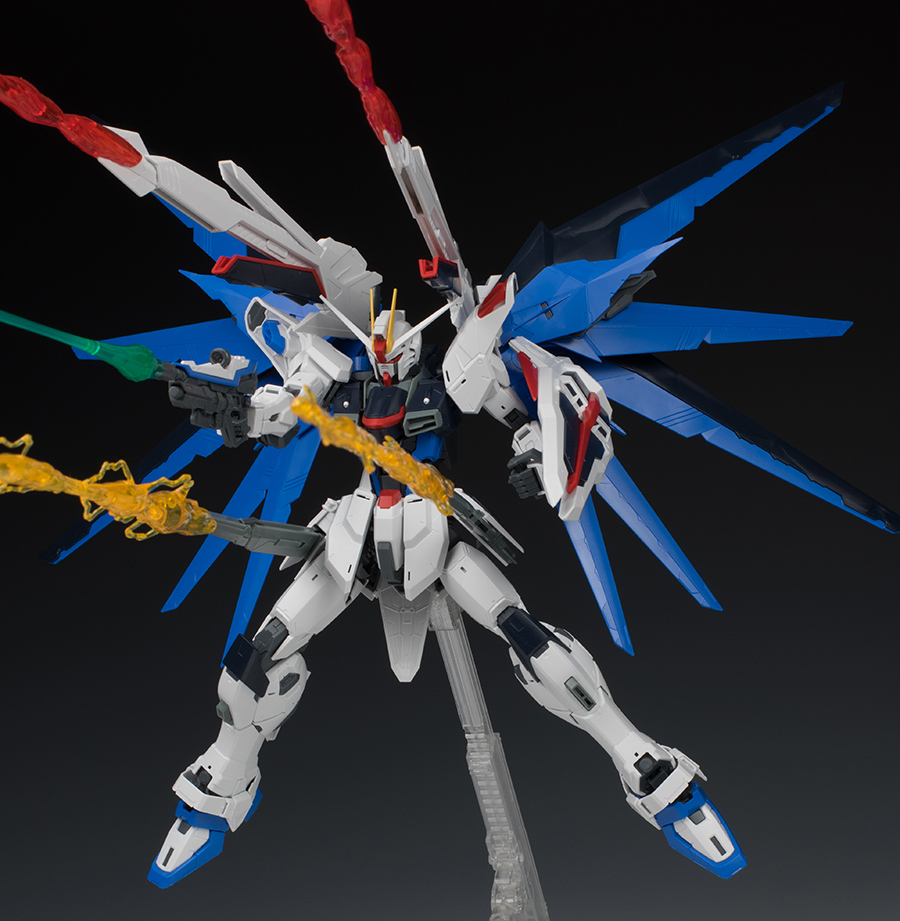MG フリーダムガンダム Ver.2.0 ザフト型モビルスーツ MG 1/100