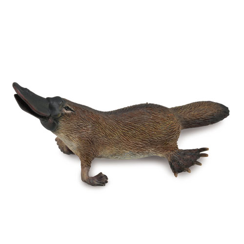 88795 Collecta【カモノハシ】｜動物・恐竜フィギュアのZOOO!