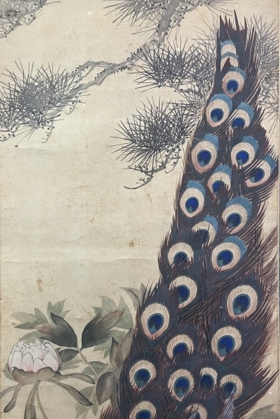 渡辺崋山「孔雀」掛軸 紙本 識箱 二重箱：江戸時代後期 渡辺崋山「孔雀