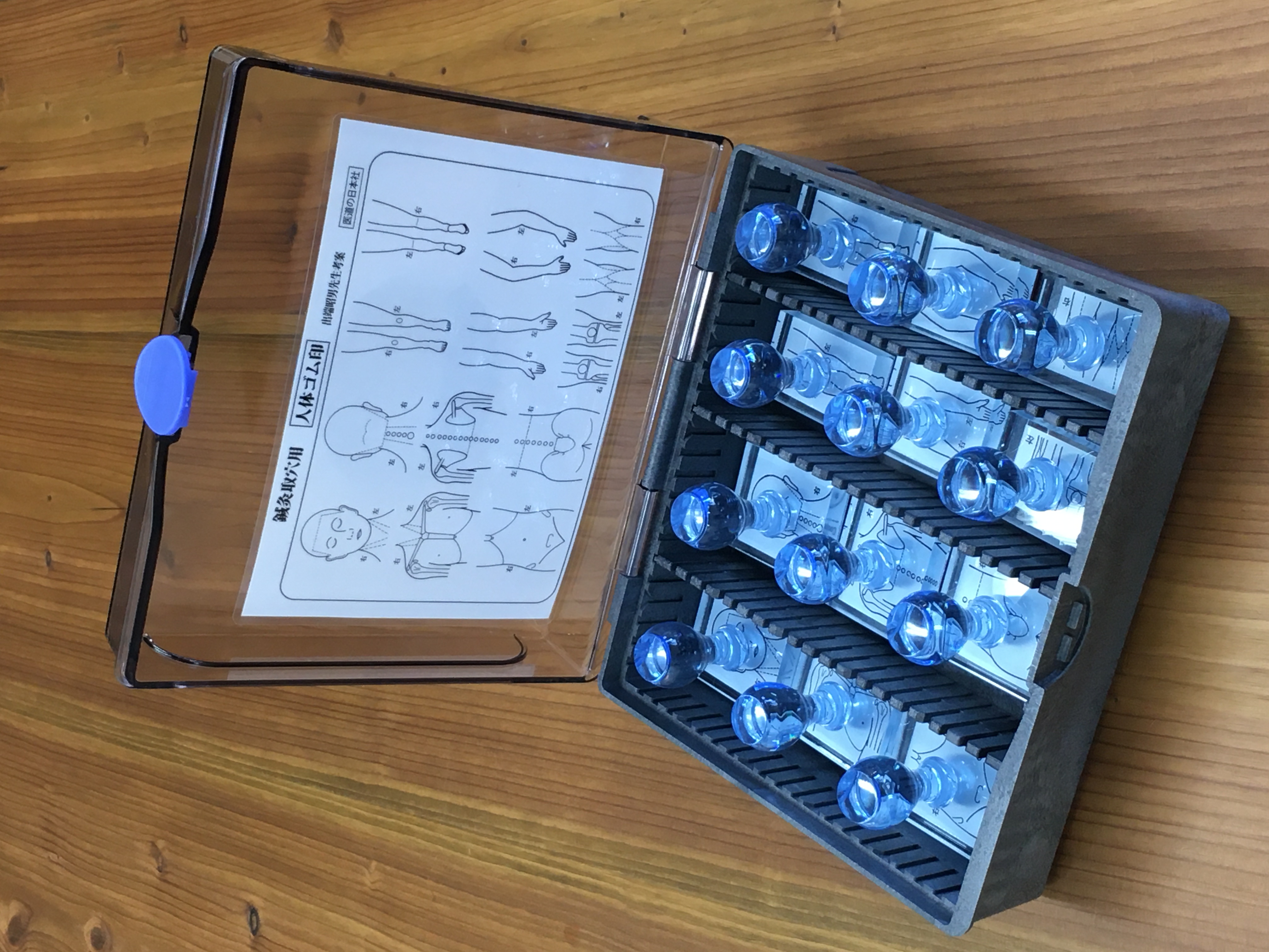 鍼灸用人体ゴム印（医道の日本社） 人体図 ゴム印 医療用 人体スタンプ