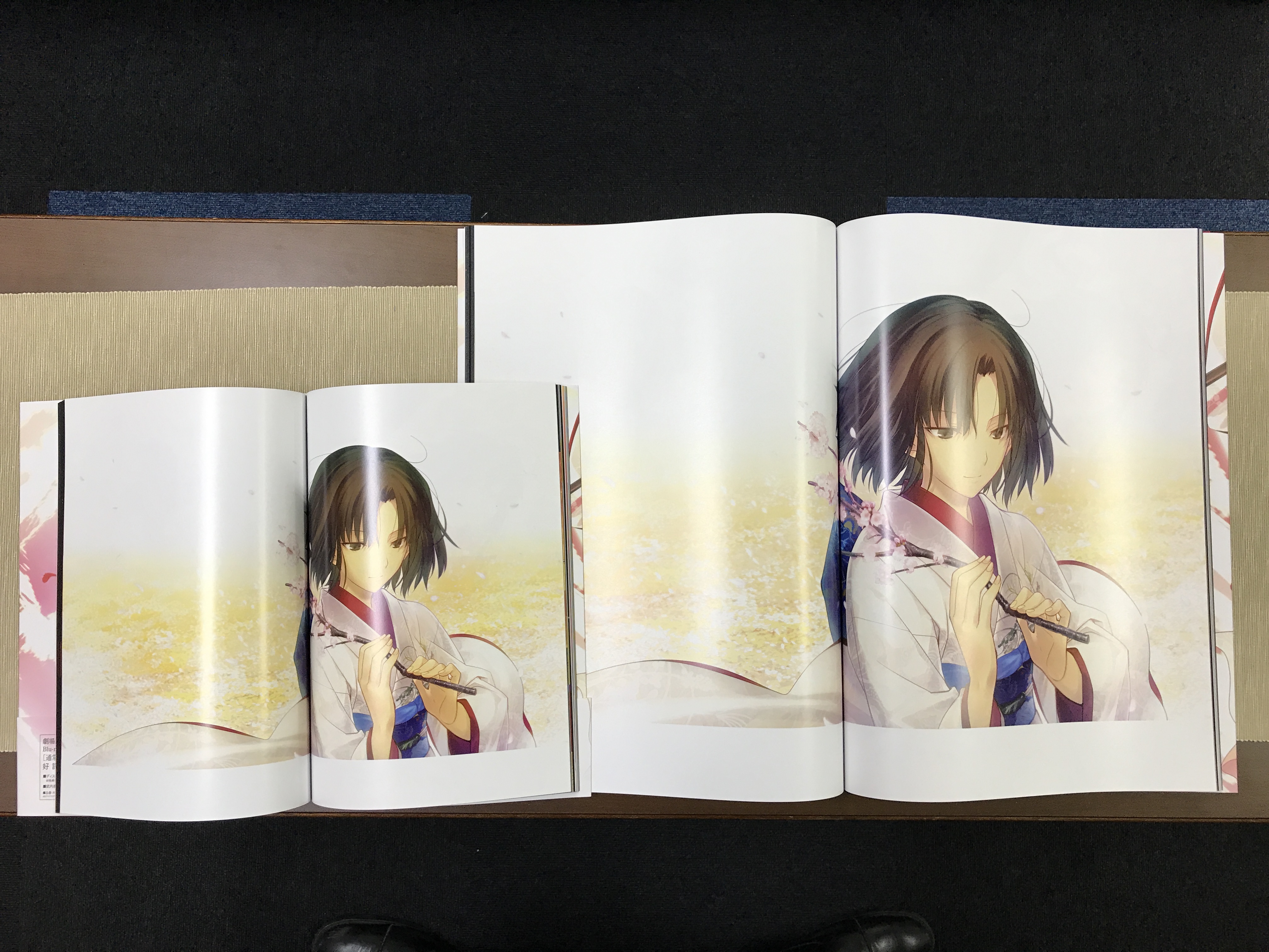 空の境界 the Garden of sinners 限定愛蔵版 空の境界限定愛蔵版