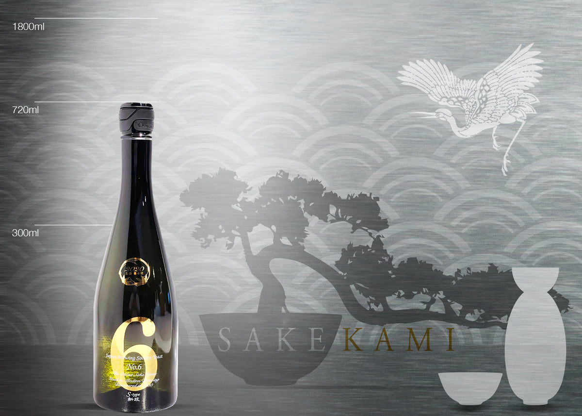 新政No.6 S-type 新政 No.6 S-Type No.6 S-type Direct Path 2024