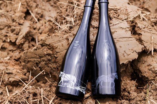 田人馬 白 2022 | Sake World